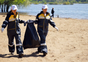 С 2021 года «Самаранефтегаз» высадил в лесах Самарской области более 70 тысяч деревьев