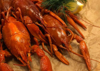 В ресторанах Поволжья стартует гастрономический фестиваль