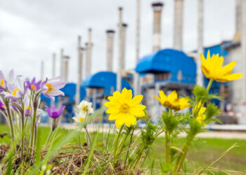 В Самарской области удалось значительно сократить техногенное влияние на экологию