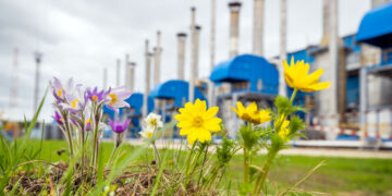 В Самарской области удалось значительно сократить техногенное влияние на экологию