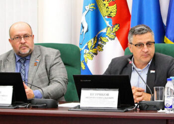 В думе Самары обсудили организацию уличной торговли в городе и объявили об увеличении мест для нее