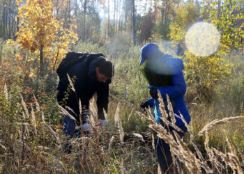 «КуйбышевАзот» взял шефство над Ставропольским сосняком