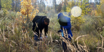 «КуйбышевАзот» взял шефство над Ставропольским сосняком