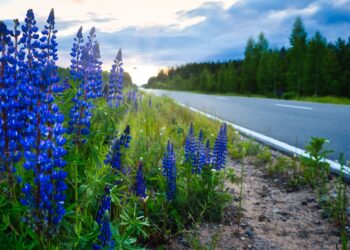 Страховщики назвали самые безопасные для автопутешествий города РФ