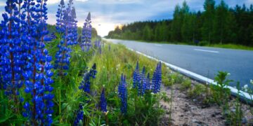 Страховщики назвали самые безопасные для автопутешествий города РФ