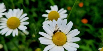 Афиша выходного дня: куда сходить в Самаре с 30 июня по 2 июля