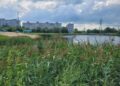 В Новокуйбышевске Самарской области хотят спасти городские озера, потратив на их очистку 7 миллионов