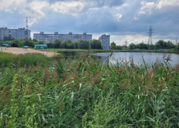 В Новокуйбышевске Самарской области хотят спасти городские озера, потратив на их очистку 7 миллионов