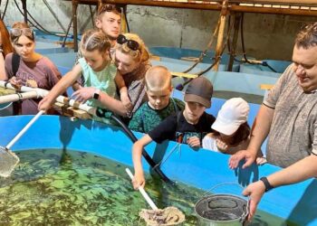 Сотрудники «Газпром трансгаз Самара» выпустили мальков стерляди в Волгу