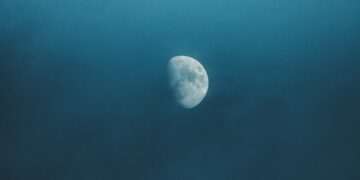 Фото: David Selbert : pexels