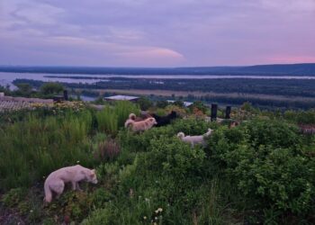 Афиша выходного дня: куда сходить в Самаре с 7 по 9 июля