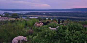 Афиша выходного дня: куда сходить в Самаре с 7 по 9 июля