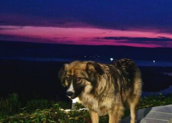 Афиша выходного дня: куда сходить в Самаре с 7 по 9 июля