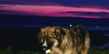 Афиша выходного дня: куда сходить в Самаре с 7 по 9 июля