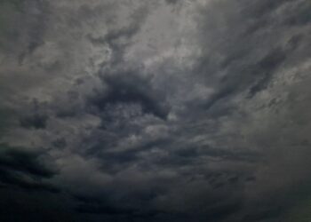 ТОП-5 новостей недели: Общество