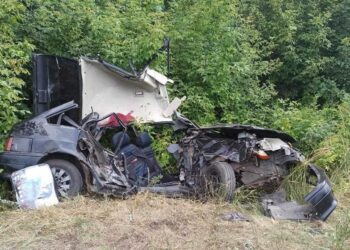 В Самарской области в ДТП погибла 12-летняя девочка