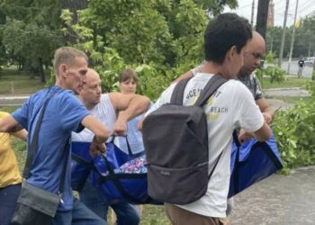 В Самаре на детской площадке дерево упало на 9-летнего ребенка