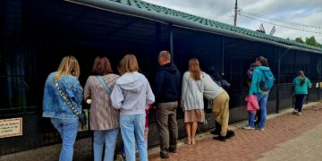 Зоологи рассказали как живет в Самаре львенок Алтай