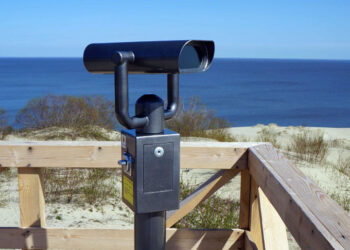 Битва за авторские права может лишить Жигулевский заповедник смотровых биноклей