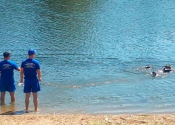 В Самаре на пляже у спуска на улице Осипенко утонул мужчина