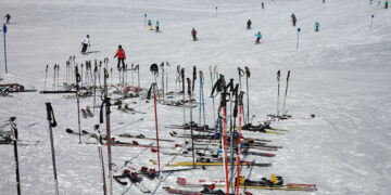Горнолыжный проект в «Самарской Луке» пытаются затормозить экоактивисты