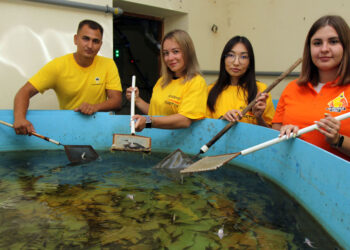 Представители Новокуйбышевского НПЗ выпустили в Волгу 32 тысячи мальков стерляди