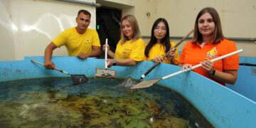 Представители Новокуйбышевского НПЗ выпустили в Волгу 32 тысячи мальков стерляди