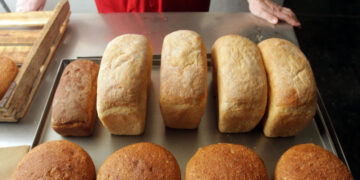 Раскрученная самарская сеть стоматологических клиник рискует схлопнуться из-за претензий налоговиков