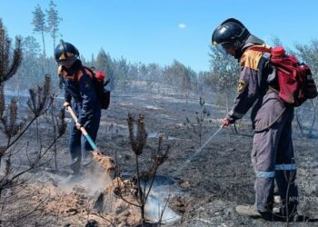 Лесной пожар в Тольятти заново вспыхнул после того, как его потушили