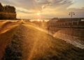 Фото: Александра Русяева