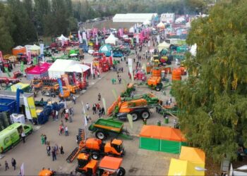 В сентябре в Самарской области пройдет большая Поволжская агропромышленная выставка