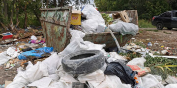 Новые штрафы не помешали водителям и дальше замусоривать леса и бункеры