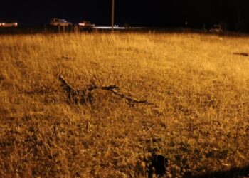 ТОП-5 новостей недели: Криминал