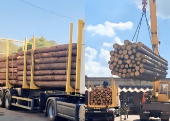 Рогозин от имени фронтовиков попросил губернаторов присылать больше бревен на передовую