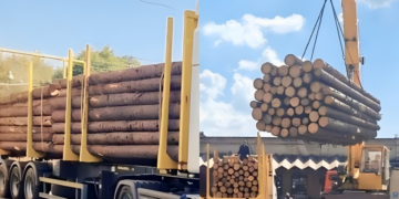 Рогозин от имени фронтовиков попросил губернаторов присылать больше бревен на передовую