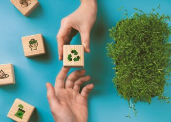 Своя среда: какие задачи необходимо решить для достижения экологического благополучия Самарской области