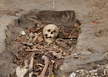 В Самаре на месте хлебозавода №2, где построят жилые дома, обнаружили десятки старинных могил