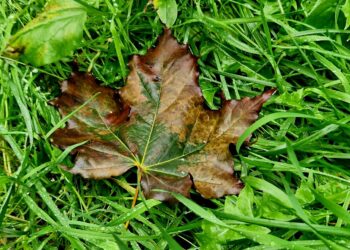 Афиша выходного дня: куда сходить в Самаре с 15 по 17 сентября