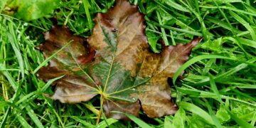 Афиша выходного дня: куда сходить в Самаре с 15 по 17 сентября