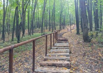 В Самарской области благоустроили тропу к знаменитому источнику у Каменной Чаши