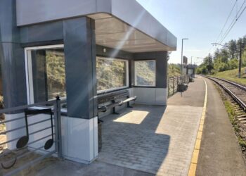 В Самарской области «Ласточки» начнут ежедневно останавливаться на платформе им. Грушина