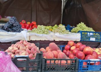 В Самаре за последний год число сельскохозяйственных ярмарок выросло на 62%