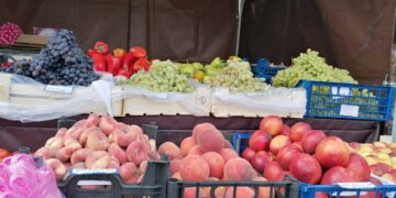 В Самаре за последний год число сельскохозяйственных ярмарок выросло на 62%