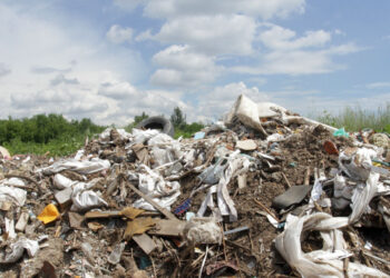 Борьба со стихийным сбросом отходов в областном центре вышла на системный уровень