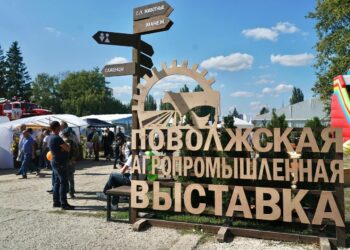 Более 500 сельхозпроизводителей представили свою продукцию на масштабной выставке АПК в Самарской области