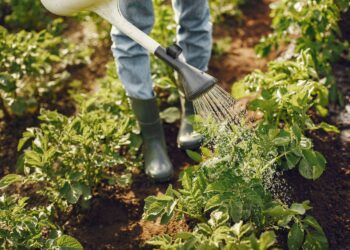 Бенефициар Поволжской шинной компании не станет садоводом-огородником