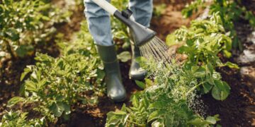 Бенефициар Поволжской шинной компании не станет садоводом-огородником