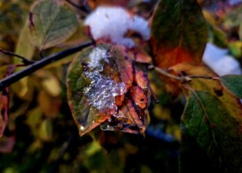 ТОП-5 новостей недели: Общество