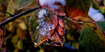 ТОП-5 новостей недели: Общество