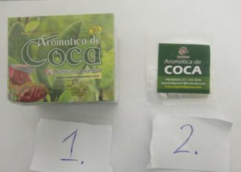 Туристке, которая привезла в Россию из Колумбии фиточай из коки, грозит срок до 7 лет